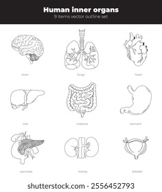 Human inner organs vector set . Anatomy collection of heart, lungs, brain, liver, intestine, stomach, kidney, bladder and pancreas