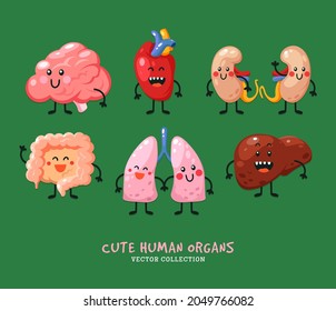 Human internal healthy organ icons. Happy human body organs characters with handles, legs and smiles. Kidneys, liver. Heart, brain and lungs.  Anatomy funny print. Children education patch set.
