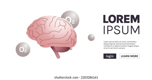 Human internal organ anatomical brain and human brain medical concept flat vector illustration.