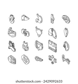 Human Internal Organ Anatomy isometric icons set. Stomach And Liver, Heart And Lung, Intestine And Gland, Muscle And Skin People Organ Line. Healthcare And Medicine Color .