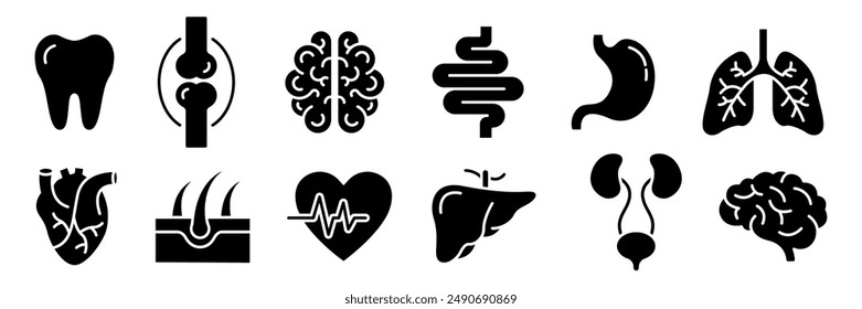 Human Internal Organ Anatomy Line Icon Set. Liver, Tooth, Brain, Stomach, Heart, Lung, Urinary System, Bone, Skin layer, Intestine Linear Pictogram. Healthcare Sign. Isolated Vector Illustration.