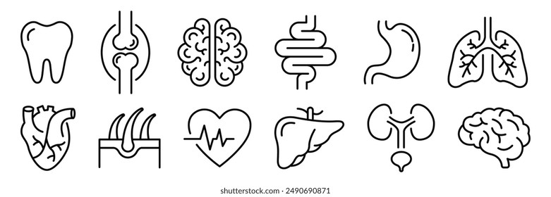 Conjunto de iconos de línea de anatomía de órganos internos humanos. Hígado, Diente, Cerebro, Estómago, Corazón, Pulmón, Sistema Urinario, Hueso, Capa Cutánea, Intestino Pictograma Lineal. Signo de asistencia sanitaria. Ilustración vectorial aislada.