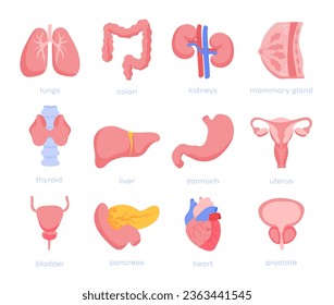 Internes Organ des Menschen - Farbsymbole. Stellen Sie Vektorsymbole in flacher Design-Medizin und Gesundheit mit Elementen für mobile Konzepte und Web-Apps ein. Kollektion modernes Infografik-Logo