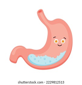 Human internal organ flat icon Cartoon stomach
