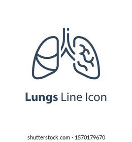 Human internal organ, healthy lungs, respiratory illness, vector line icon, linear design illustration