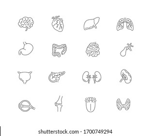 Human Internal Organ Icon Set. Line Design