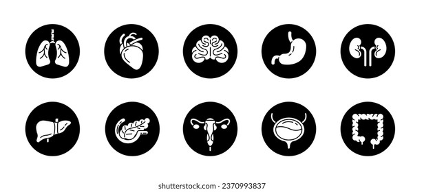 Human internal organ  icon set on black circle shape. Lung and heart, brain and stomach, kidneys and liver, uterus and pancreas, bladder and large intestine