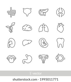 Human internal organ. inner body part are brain, joints, tongue, stomach, heart, fetus, eye. Simple Set of Organs Related Vector Line Icons. Vector illustration. Design on white background. EPS10