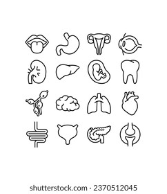 Human internal organ. inner body part are brain, joints, tongue, stomach, heart, fetus, eye. Simple Set of Organs Related Vector Line Icons. Vector illustration. Design on white background. EPS10