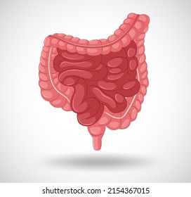 Human internal organ with intestine illustration