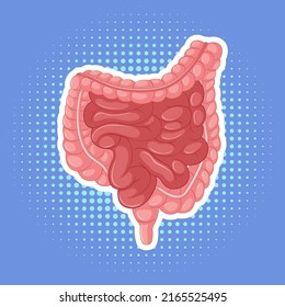 Human internal organ with intestine illustration