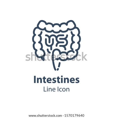 Human internal organ, intestines and colon, digestive system part, health care and treatment, vector line icon, linear design illustration
