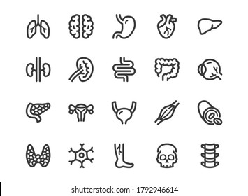 Human Internal Organ Line Icon. Minimal Vector Illustration With Simple Outline Icons As Lung, Heart, Stomach, Bone, Brain, Kidney, Skull And Other Anatomy Parts. Editable Stroke. Pixel Perfect