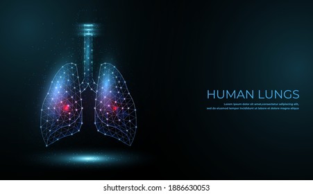 Human Internal Organ Lungs. Low Poly technology design. Blue color polygonal triangle connected dots. Health medicine icon background