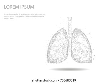 Human Internal Organ Lungs. Low Poly technology design. White Gray color polygonal triangle connected dots. Health medicine icon background vector illustration