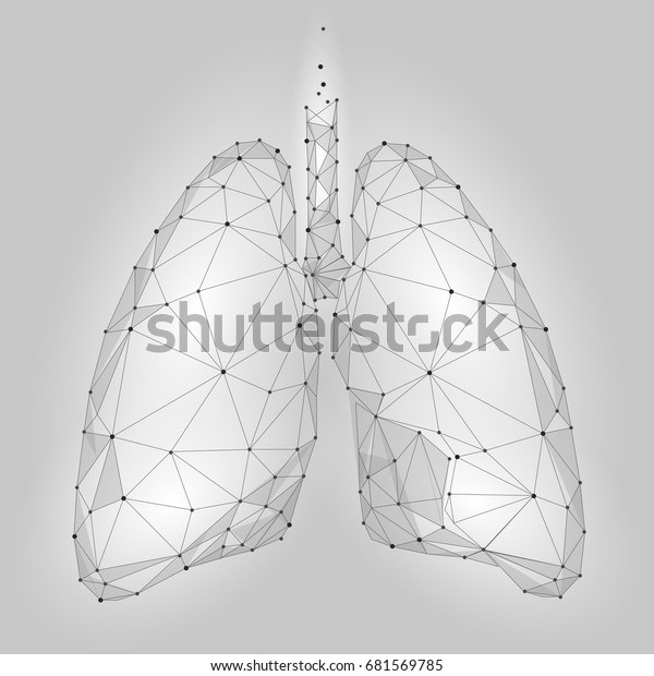 人間の臓器の肺 低ポリテクノロジーデザイン 白いグレー色の多角形の連結ドット 医療アイコン背景にベクターイラスト のベクター画像素材 ロイヤリティフリー