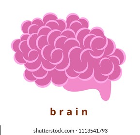 Human internal organ - realistic brain with the name. Anatomy. Pink human brain. Human body part. Modern flat cartoons style vector illustration icons. Isolated on white background. Realistic brain.