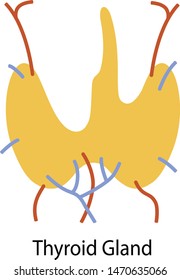 Human internal organ: thyroid gland and circulatory system. Vector image. Flat design