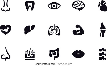 Human Internal Organ vector symbols and icons vector design 