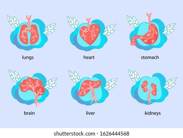 Human internal organs anatomical icons set, flat vector illustration isolated on background. Heart, stomach, liver, lungs and kidneys. Medical biological body parts structure symbols collection.