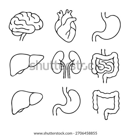 Human internal organs anatomy Collection. Symbol Line art, Outline Doodle icons drawing. Illustration of Stomach, liver, heart, bladder, intestine, pancreas, kidneys, Lungs, pelvis, brain set.