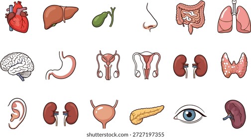 Human Internal Organs Anatomy Icons, Heart Liver Brain Lungs Kidney Stomach Intestine Bladder Pancreas Thyroid Eye Ear Nose Reproductive System,