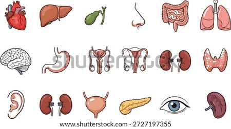 Human Internal Organs Anatomy Icons, Heart Liver Brain Lungs Kidney Stomach Intestine Bladder Pancreas Thyroid Eye Ear Nose Reproductive System,