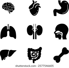 Human internal organs and anatomy related vector flat icon set. Human body related internal organs symbol on isolated transparent background. Human anatomy Editable Stroke. Vector illustration.