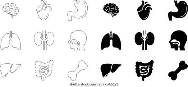 Human internal organs and anatomy related vector icon set. Human body related internal organs symbol on isolated transparent background. Human anatomy Editable Stroke. Vector illustration.