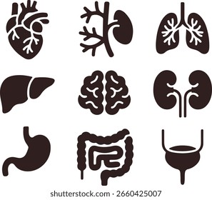 Conjunto de iconos negros de órganos internos humanos para diseños de educación médica y ciencia de la salud.