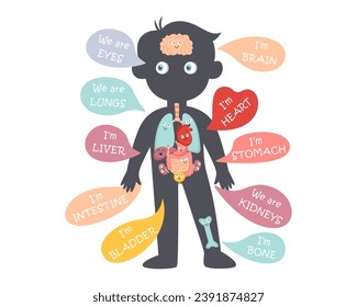 Órganos internos humanos en la ilustración de los vectores del cuerpo del niño pequeño. Equipo educativo de anatomía médica. Estómago y pulmones, riñones y corazón, cerebro e hígado, vejiga y aprendizaje de huesos, ojos e intestinos