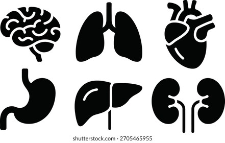 Human Internal Organs: Brain, Lungs, Heart, Liver, Kidneys