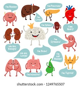 Human internal organs. Cartoon anatomy organs with happy smiles vector image, healthy spleen and lungs, liver and heart characters