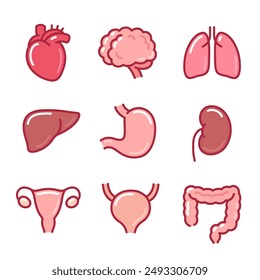 Human internal organs cartoon icon set. Hand drawn doodle illustration with color lines. Isolated vector clip art drawing.