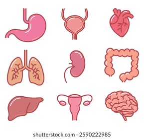 Human internal organs cartoon icon set Symbol Collection