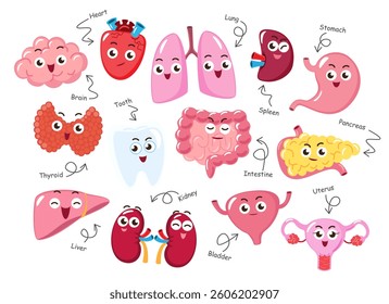 Human internal organs . Collection of cute funny medical cartoon characters . Isolated white background . Vector .