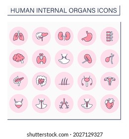 Human internal organs color icons set. Necessary body part. Medical treatment.Health concept.Isolated vector illustrations.Editable stroke
