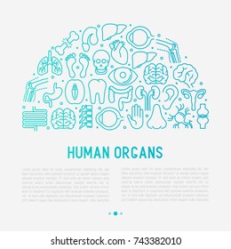 Human internal organs concept in half circle with thin line icons. Vector illustration for banner, web page, print media.