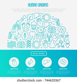 Human internal organs concept in half circle with thin line icons. Vector illustration for banner, web page, print media.