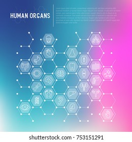 Human internal organs concept in honeycombs with thin line icons. Vector illustration for banner, web page, print media.