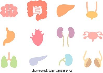 Human Internal Organs Cross Section Icon