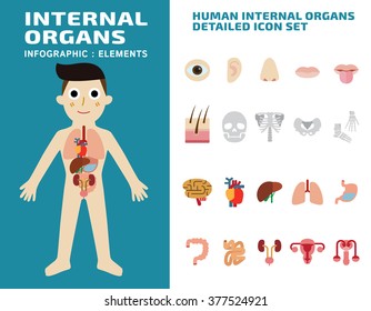 Human internal organs detailed icons set
isolated on white background.
wellness concept.