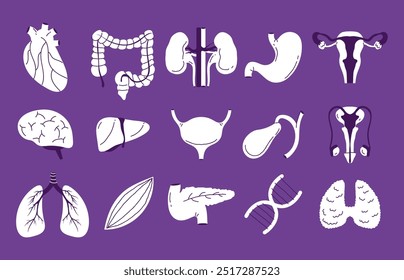 Human internal organs doodle line art style isolated set. Vector graphic design element illustration