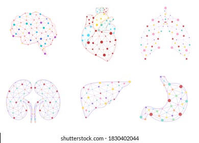 Human internal organs dot low poly banner template. Brain, liver, stomach, heart, lungs, kidneys polygonal illustration. Anatomy scientific poster for schoolbook design layout vector illustration. 