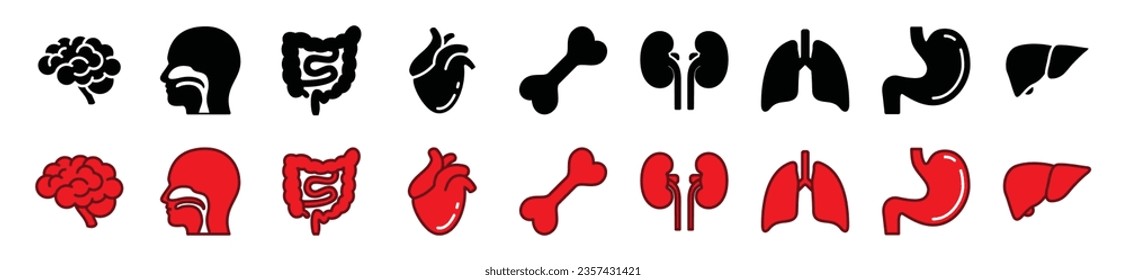 Human internal organs flat icons set. Bone, brain, throat, intestine, heart, kidney, lungs, stomach, liver icon symbol in line and flat style on white background. Vector illustration