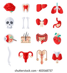 Human Internal Organs Flat Icons Set. Vector Illustration. Skull And Bones, Liver And Kidney, Stomach, Eye Anatomy, Skin With Hair, Heart, Man And Woman Reproductive System, Spine, Healthy Tooth.