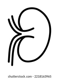 Icono de línea plana de órganos internos humanos. Símbolos anatómicos. Máscara de signo de contorno para concepto móvil y diseño web, tienda.