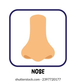 human internal organs flat vector nose
