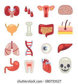 Human Internal Organs Flat Vector Icons. Set Of Vital Organs, Illustration Of Brain, Stomach And Heart Organ