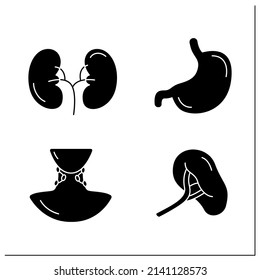 Human internal organs glyph icons set. Stomach, kidney, spleen and lymph nodes. Medical treatment.Health concept.Filled flat signs. Isolated silhouette vector illustrations